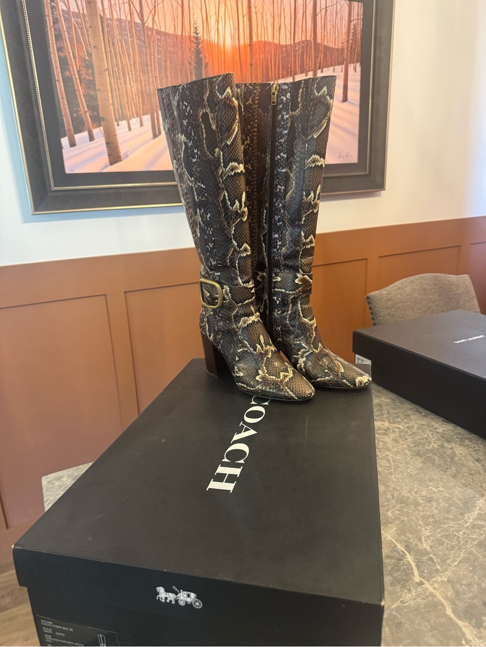 Coach Tall Snakeskin-Print Knee Boots in Brown and Black